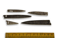 F 05425
<br/>
<br/>
<em></em>